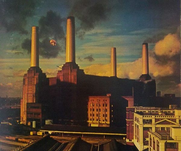 Скачать pink floyd wish you were here mp3 торрент