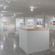 Richard Meier Retrospective - Image courtesy Agustín Estrada