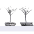 Profile views of the First-Place entry: Dendrite