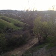 Marco Barrantes