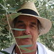 David Lewis
