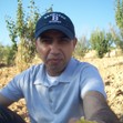 Raed Younis