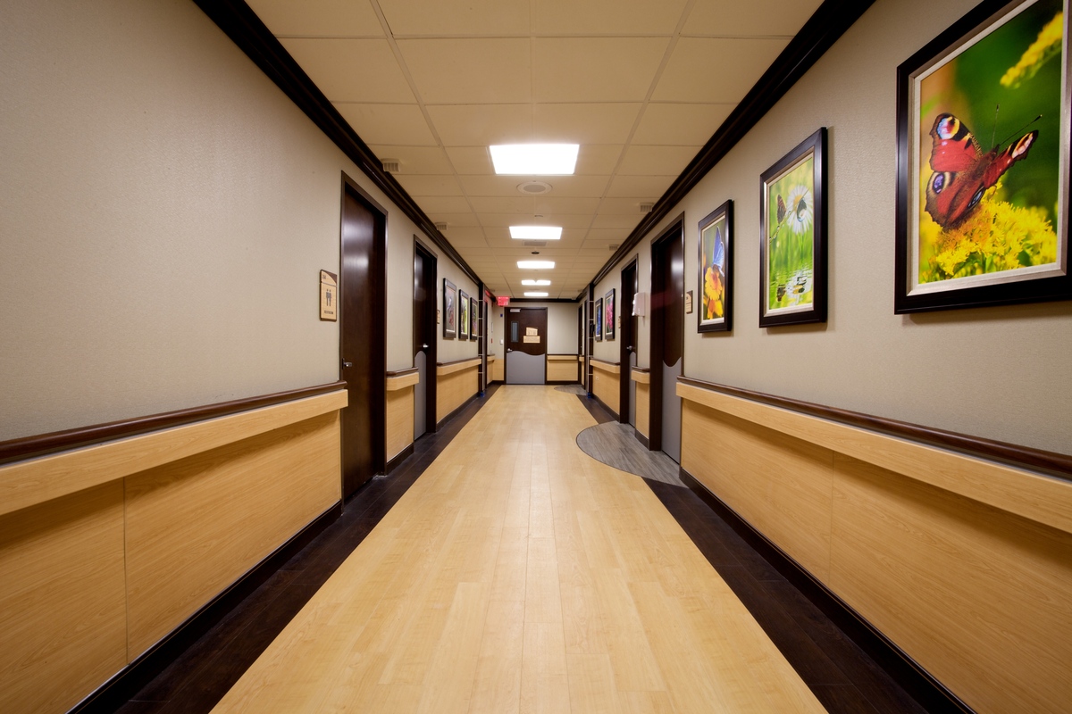 Boro Park Healthcare & Rehab Sol Sahiholamal Archinect