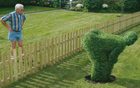 The Dignity of Plants