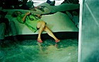 2010 Venice Biennale Field Notes