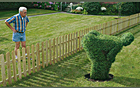 The Dignity of Plants