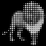 LionArchitecture