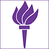 New York University (NYU)