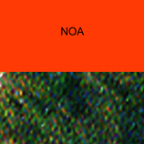 NOA