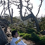 Michael (Yu-Hsiang) Huang