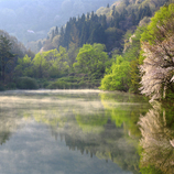 Seveilla Go Eun Kim