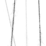thread collective