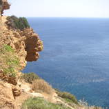 Peter Halkias