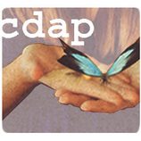 Commonwealth Design and Accessibility Partnership