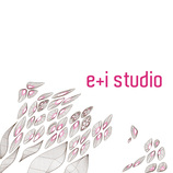 e i studio, LLC