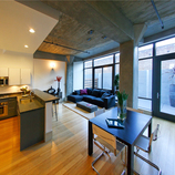 Levy Design Partners