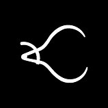 Caliper Studio