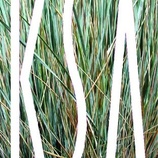 Katherine Spitz Associates, Landscape Architecture and Urban Design