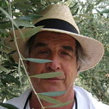 David Lewis