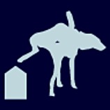 Barkitecture Mag