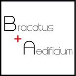 B + A LLP