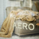 Aero Studios Ltd.