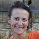 Linda Lavis