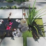 Michael Vergason Landscape Architects, Ltd