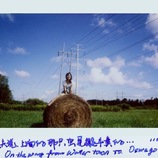Yang Gao
