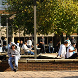 AIAS | NYIT Old Westbury
