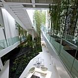 Urban A&O