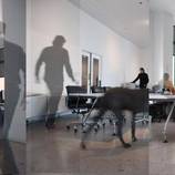 Julie Snow Architects