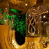 THEVERYMANY