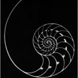 The Golden Mean Group, LLC