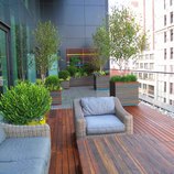 Sam & Ben Design & Build