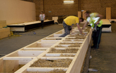 The Story of Straw... and how to use straw in a modern building.