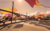 Fiber Cement Butterflies Win Bullhorn - Cembrit Design Competition