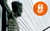 Editor's Picks #251