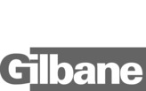 Virtual Design & Construction Professional