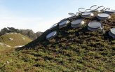 Biophilic Design