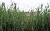 Facing the realities of climate change: Staten Island's complicated strategy of Managed Retreat