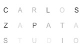 Project Architect