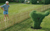 The Dignity of Plants