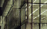 ShowCase: University Library UBU Utrecht