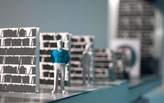Taxidermy of Architecture by Nayereh Pater-Rov 
