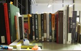 Taxonomy Project: Thesis Readings