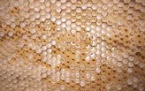 HEX Wall - Installation 2012