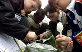 A classroom for the 21st century: where are the best places for learning?