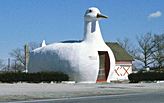 Why do we need architects to make buildings?