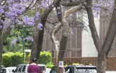 exploring Mexico City on foot: day 2